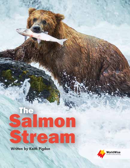 The Salmon Stream The Salmon Stream