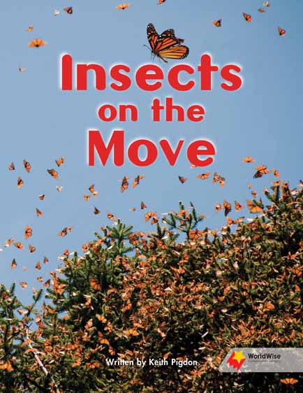 Insects on the Move Insects on the Move