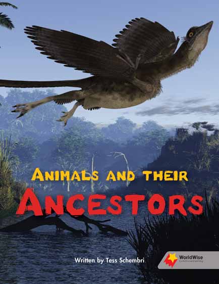 Animals and Their Ancestors