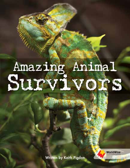 Amazing Animal Survivors Amazing Animal Survivors