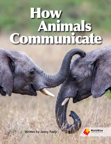 How Animals Communicate How Animals Communicate