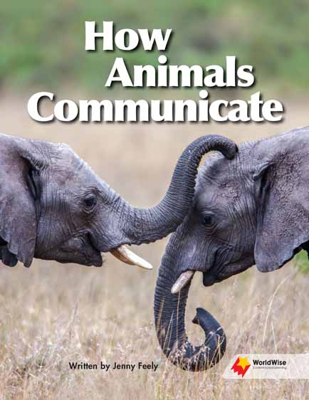 How Animals Communicate