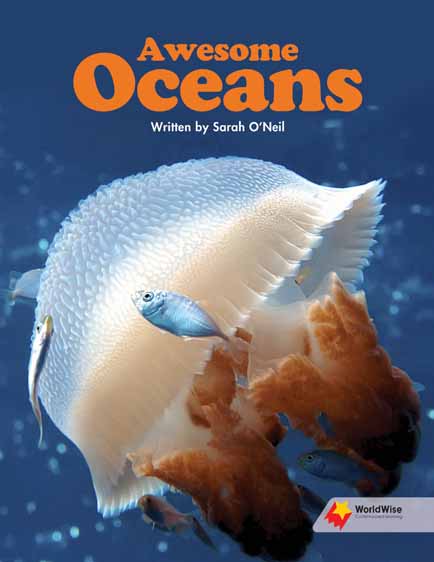 Awesome Oceans Awesome Oceans