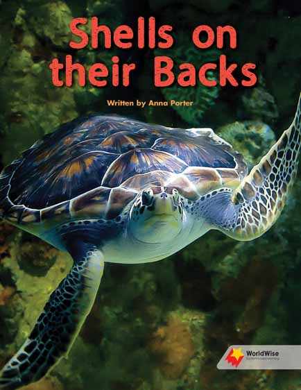 Shells on their Backs Shells on their Backs