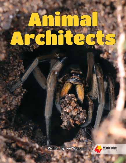 Animal Architects Animal Architects