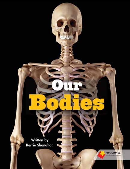 Our Bodies Our Bodies