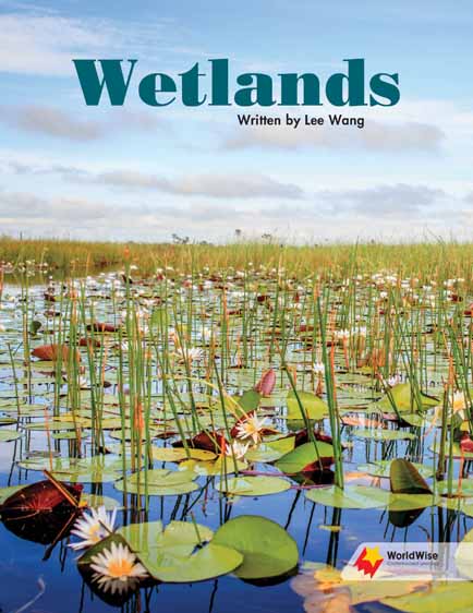 Wetlands Wetlands