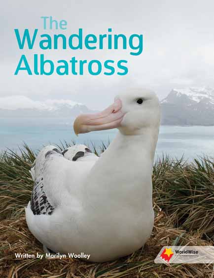 The Wandering Albatross The Wandering Albatross
