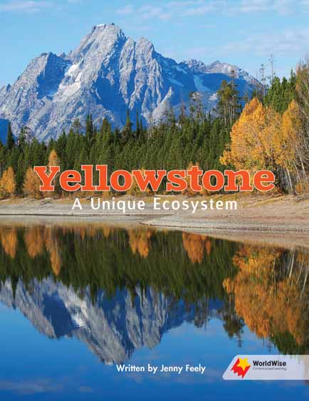 Yellowstone: A Unique Ecosystem Yellowstone: A Unique Ecosystem
