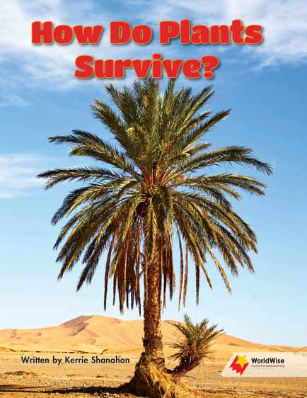 How Do Plants Survive How Do Plants Survive