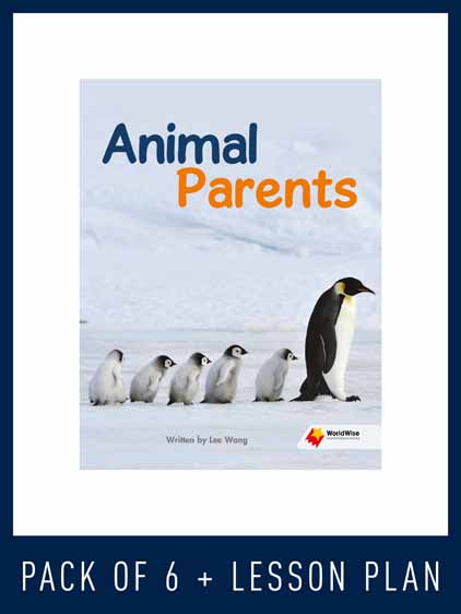 WorldWise Guided Reading Pack Level N, Pack 2 WorldWise Guided Reading Pack Level N, Pack 2