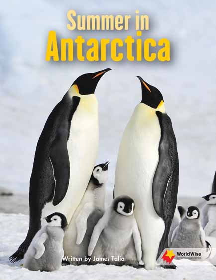 Summer in Antarctica Summer in Antarctica