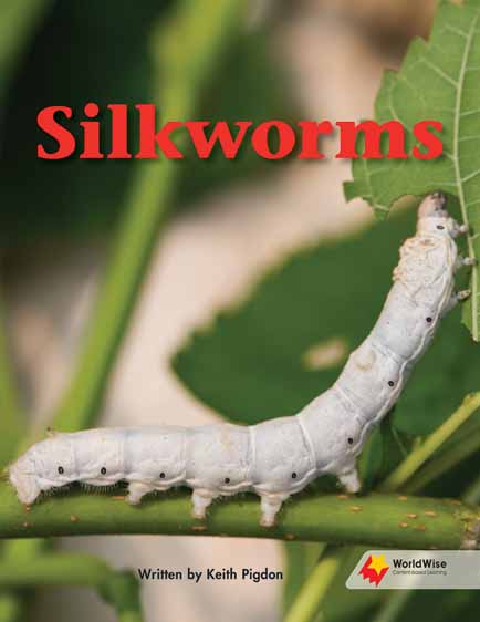 Silkworms Silkworms