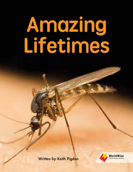 Amazing Lifetimes Amazing Lifetimes