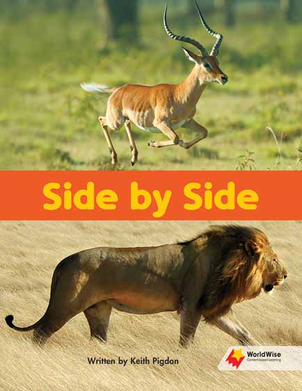 Side By Side Side By Side