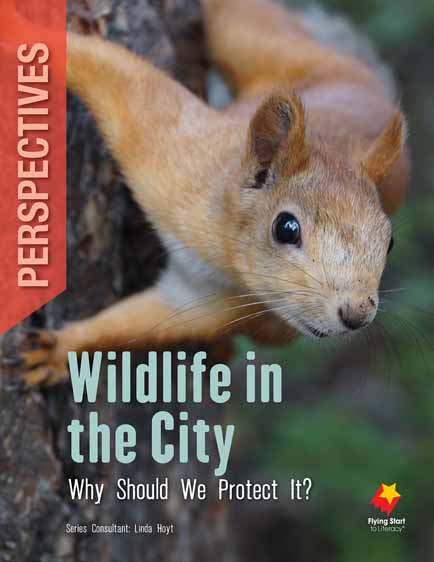 Wildlife in the City: Why Should We Protect It? Wildlife in the City: Why Should We Protect It?