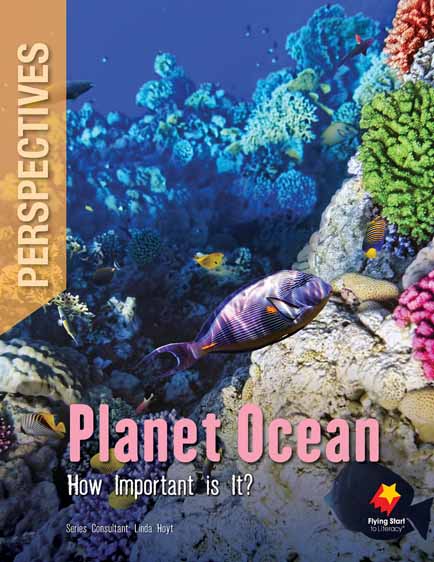 Planet Ocean: How Important is It?