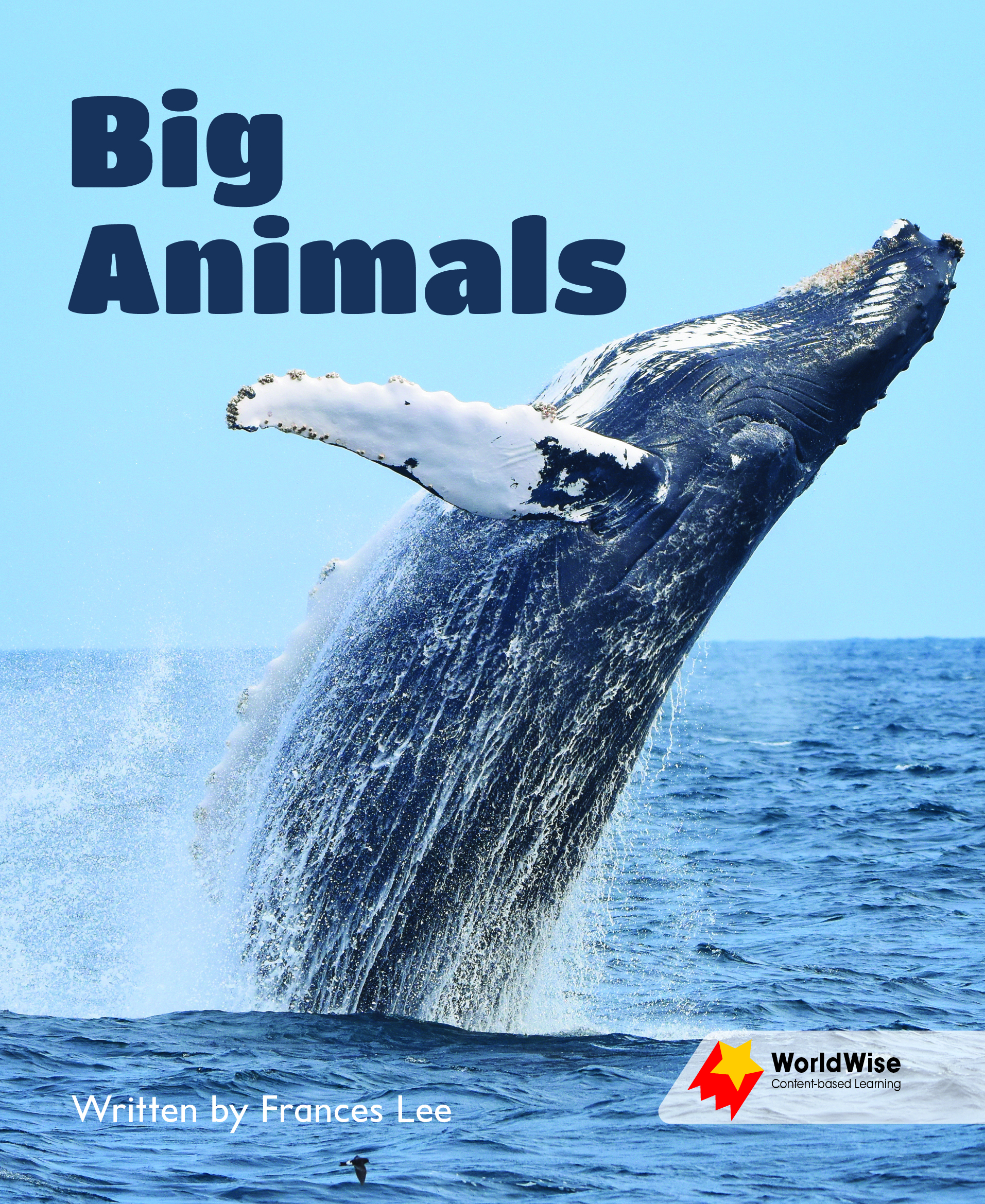 Big Animals Big Animals