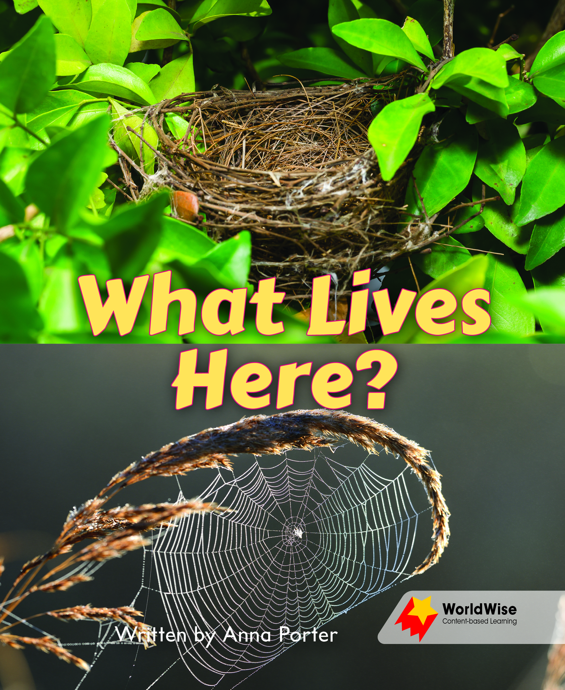 What Lives Here? What Lives Here?
