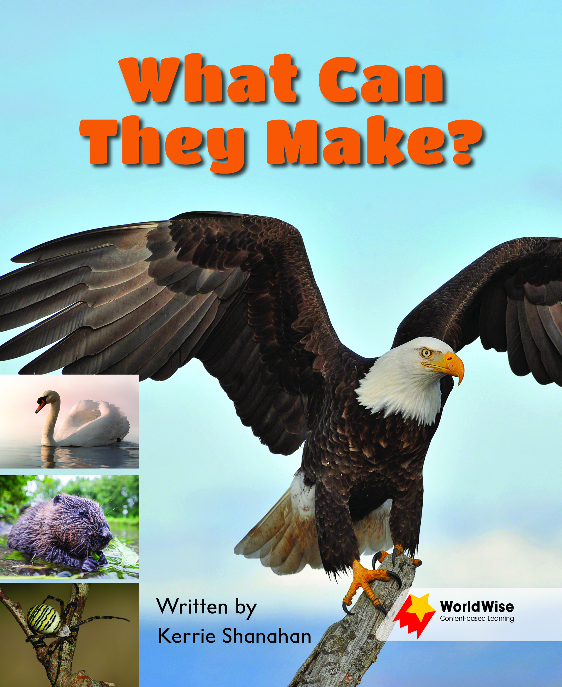 What Can They Make? What Can They Make?