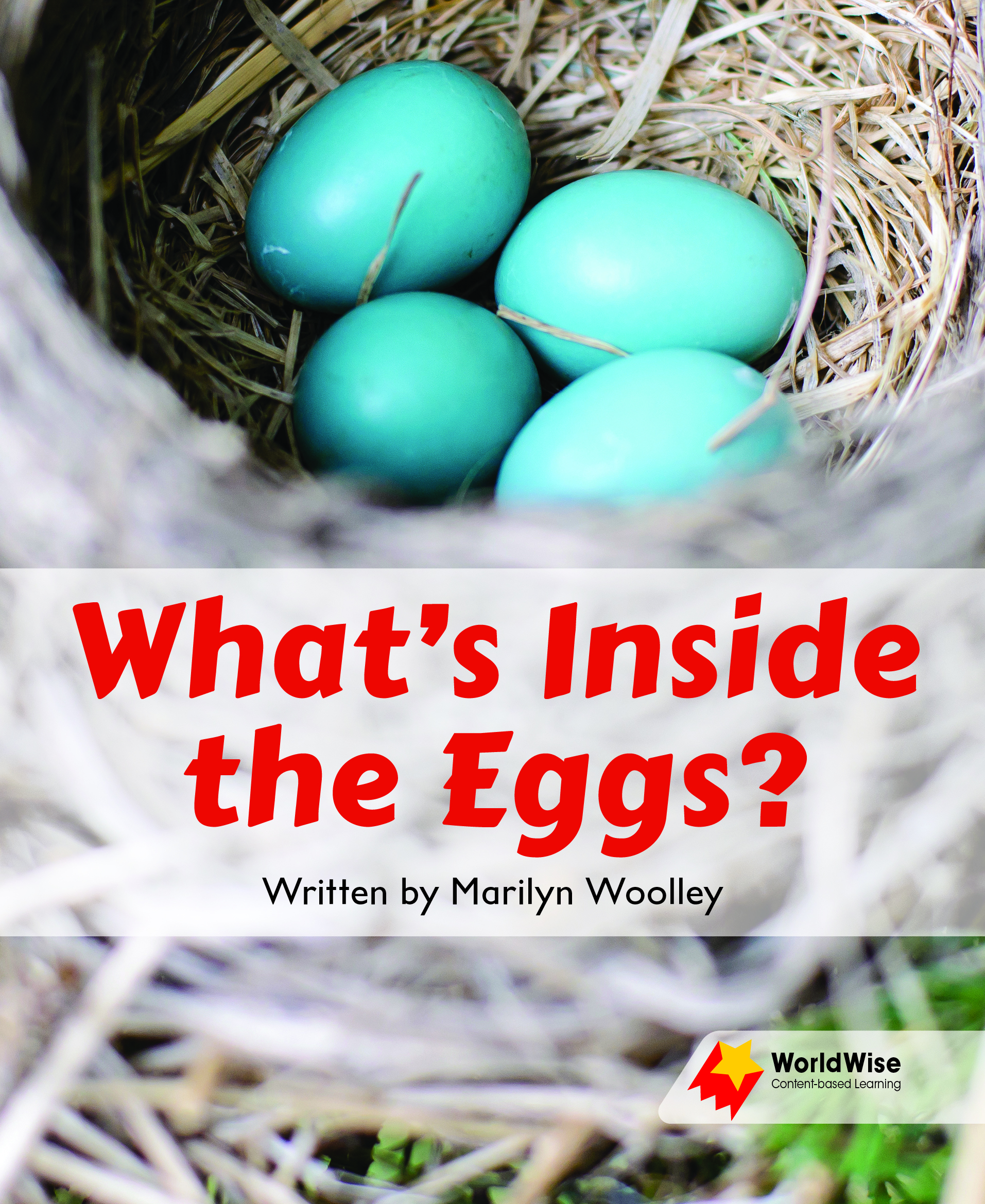 What's Inside the Eggs? What's Inside the Eggs?