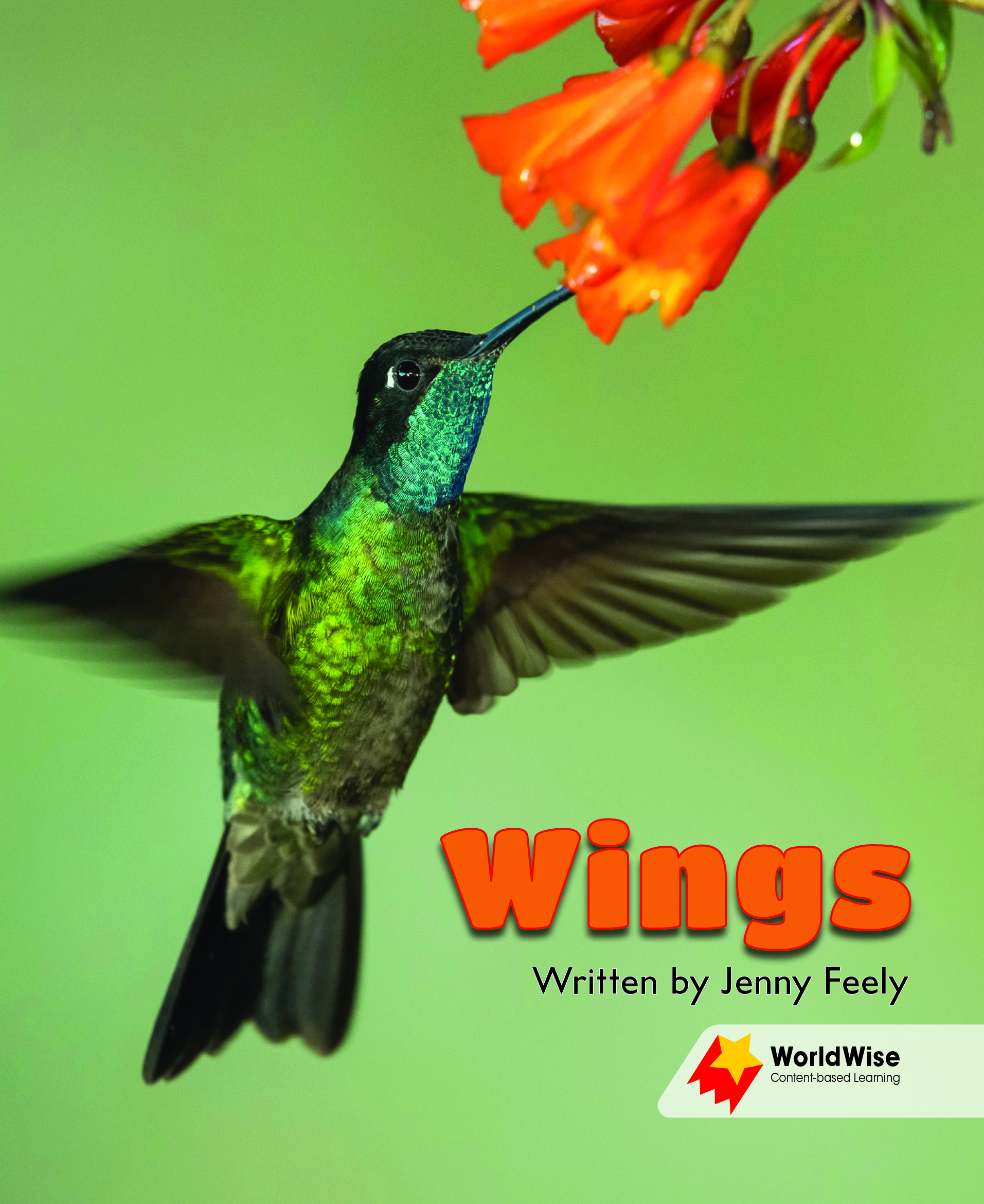 Wings Wings