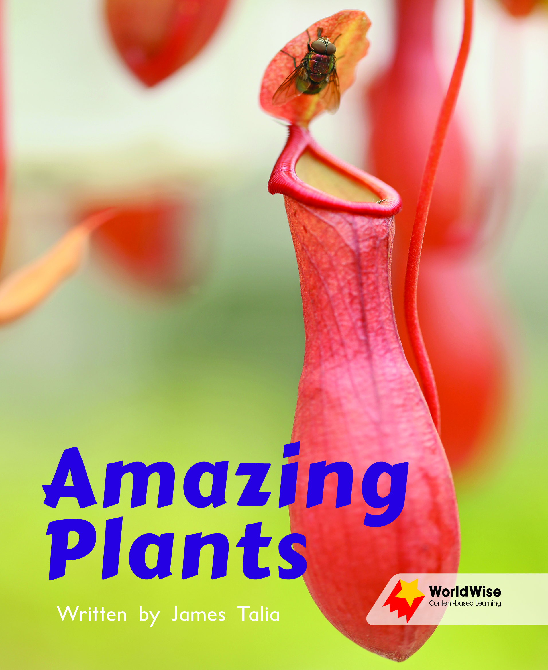Amazing Plants Amazing Plants