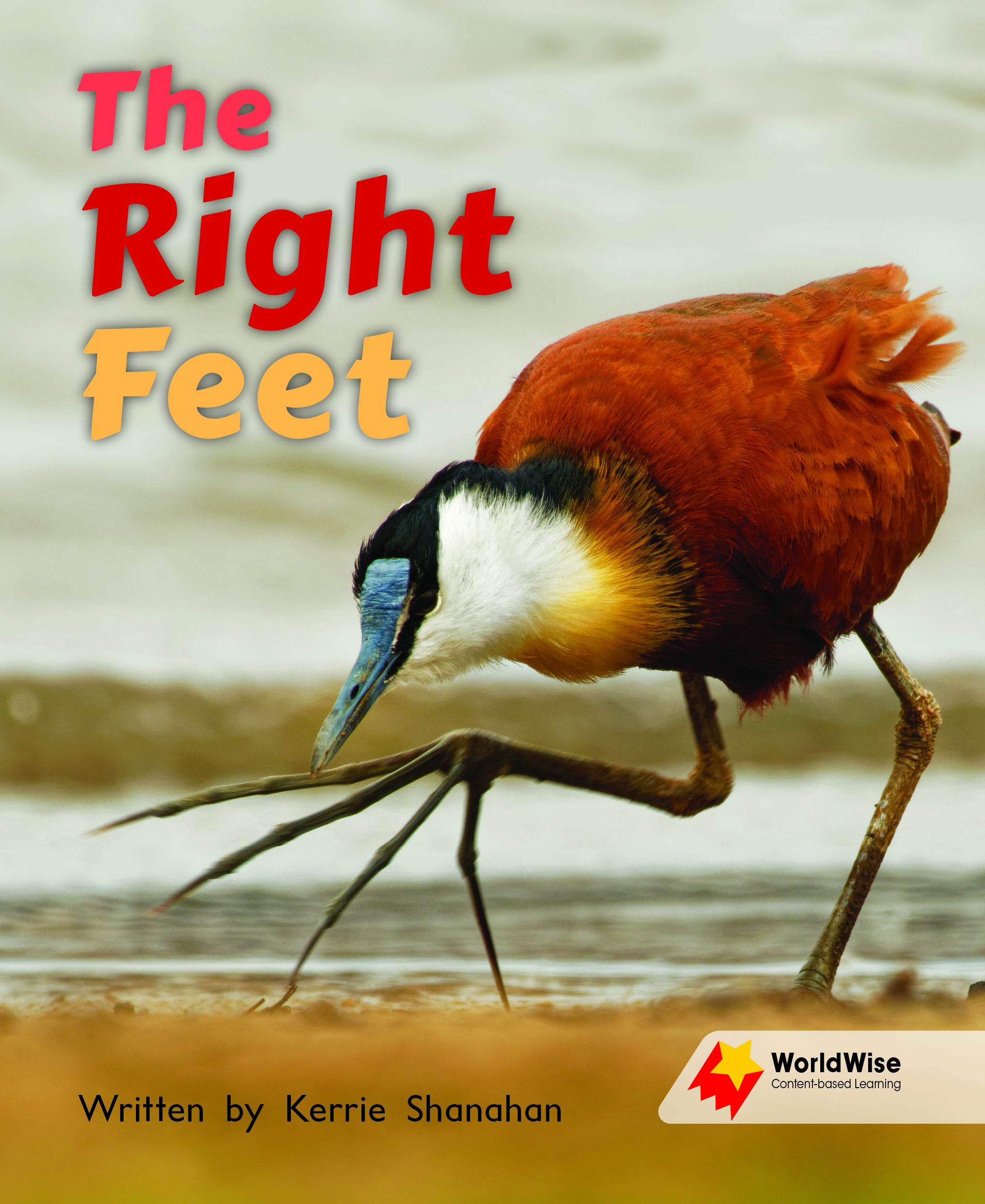 The Right Feet The Right Feet
