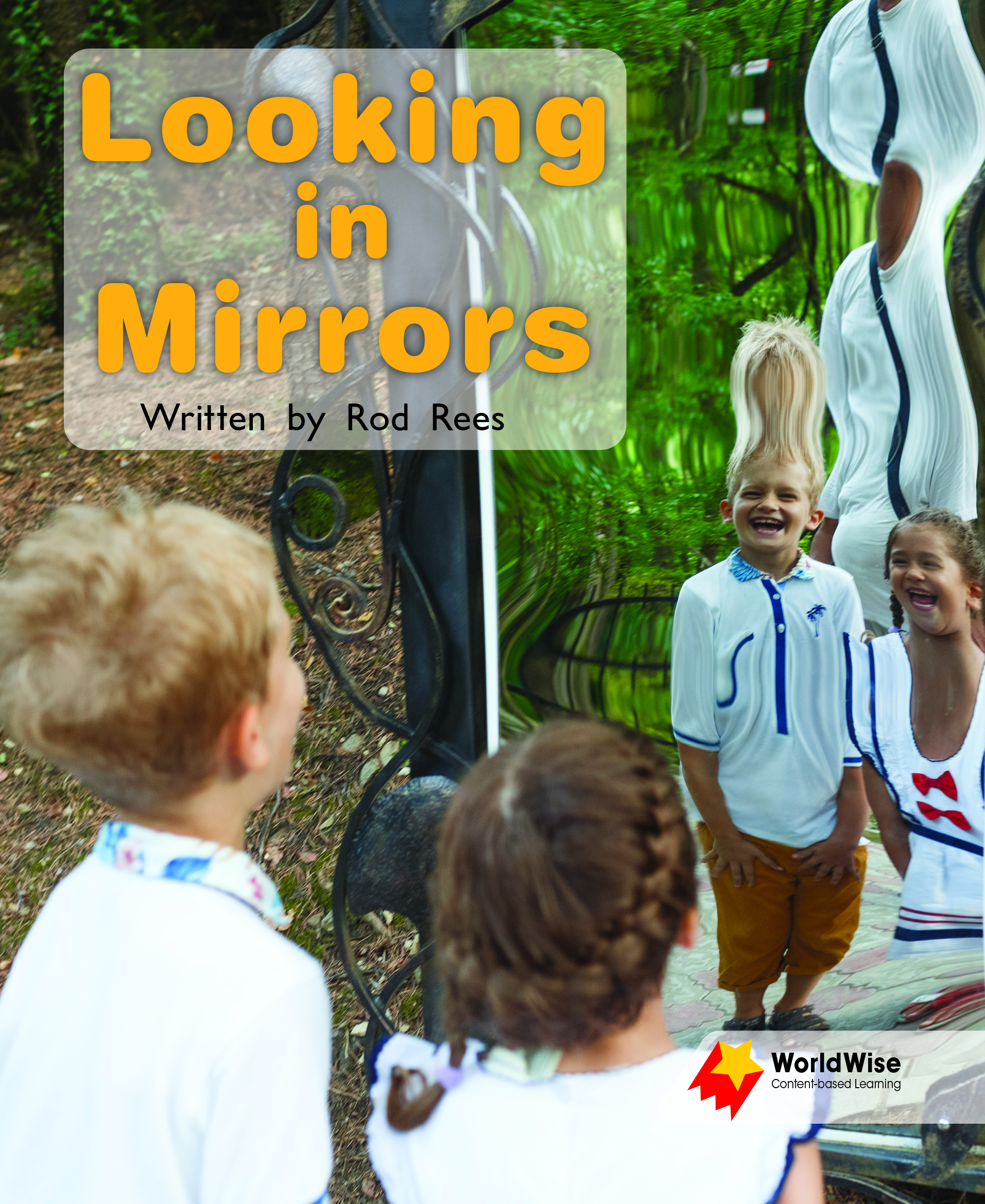 Looking in Mirrors Looking in Mirrors