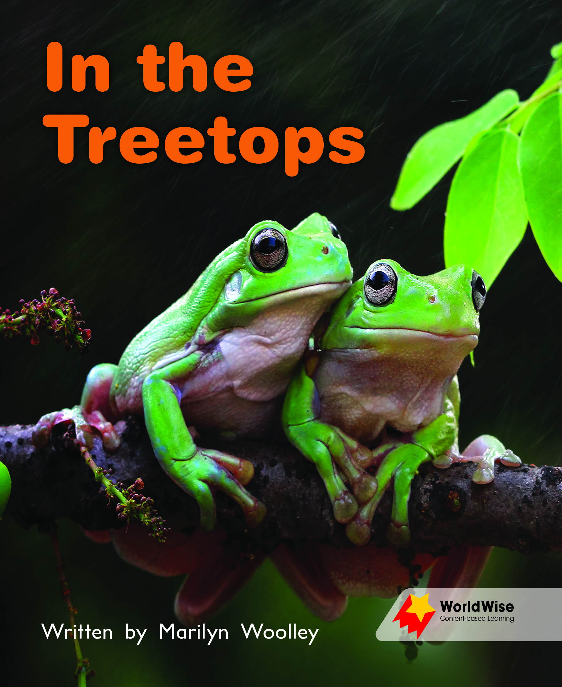 In the Treetops In the Treetops