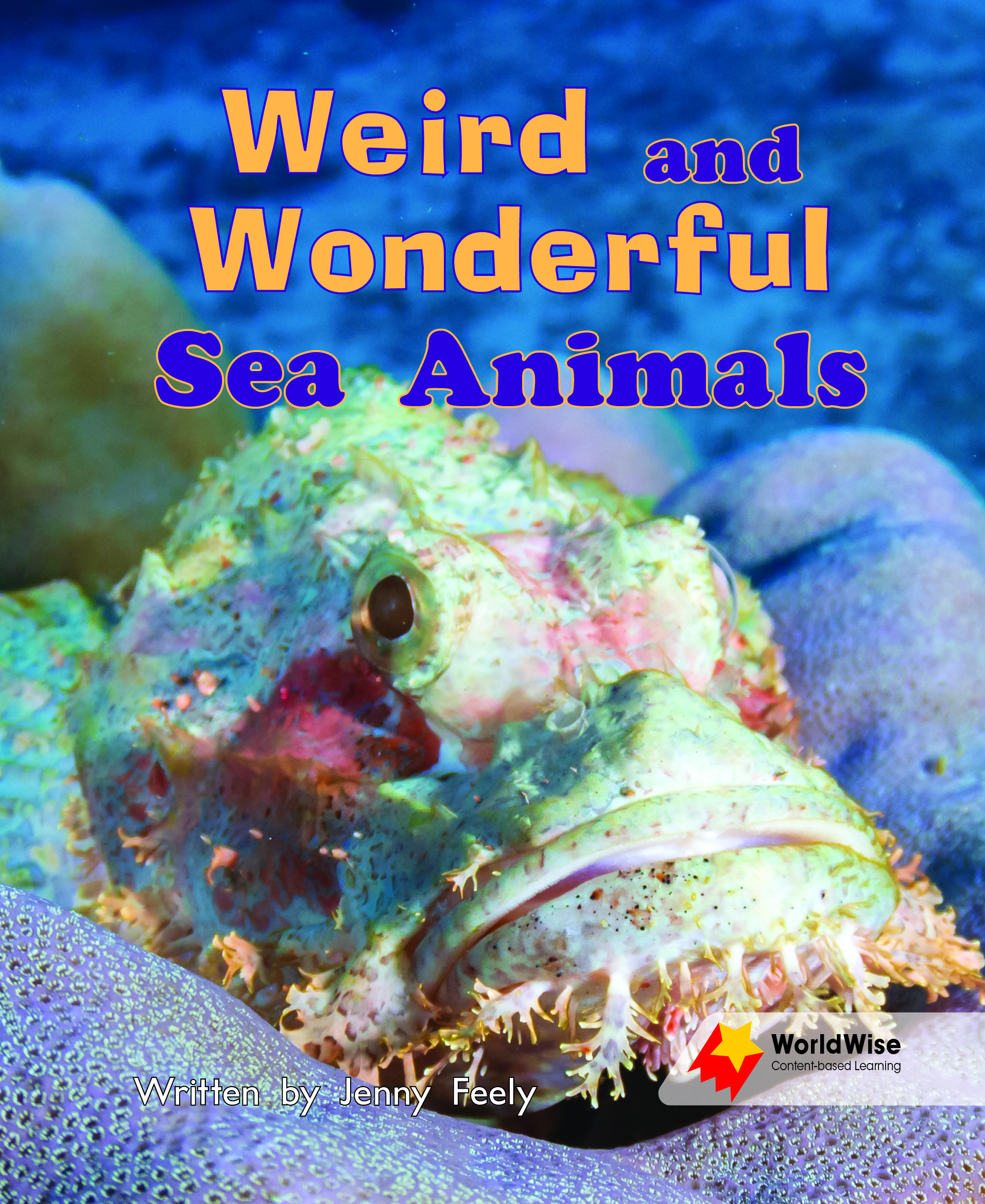 Weird and Wonderful Sea Animals Weird and Wonderful Sea Animals