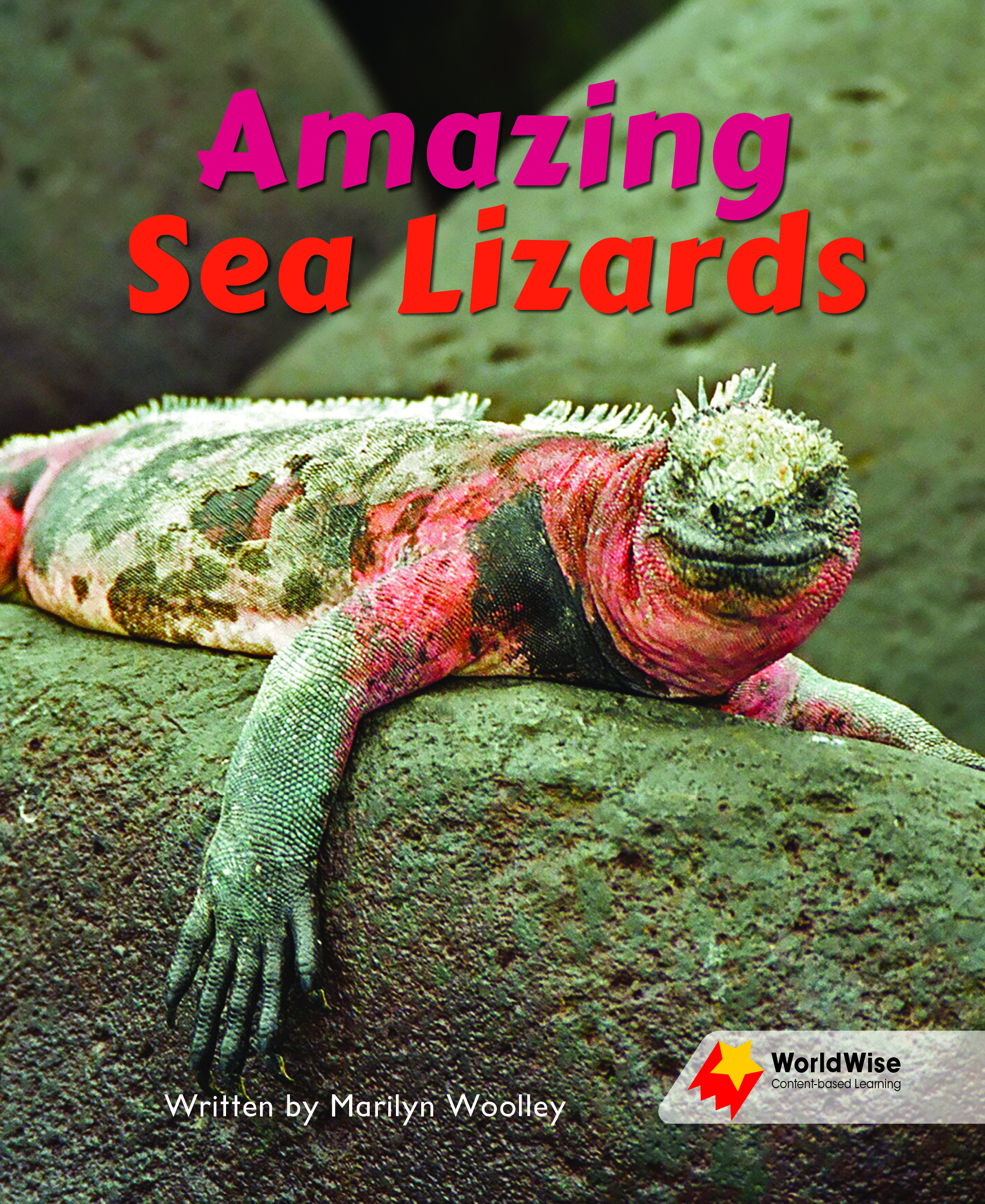 Amazing Sea Lizards