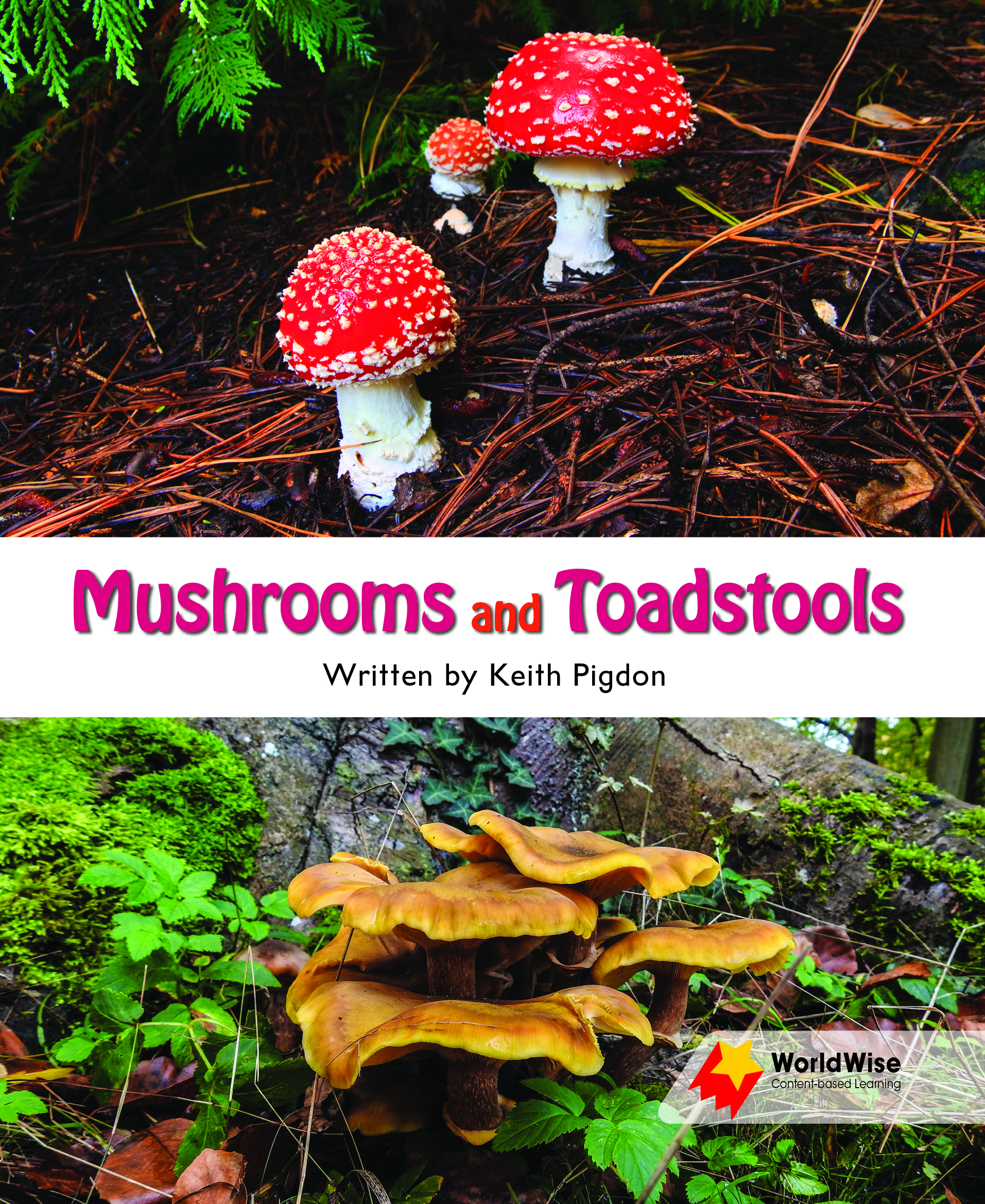 Mushrooms and Toadstools