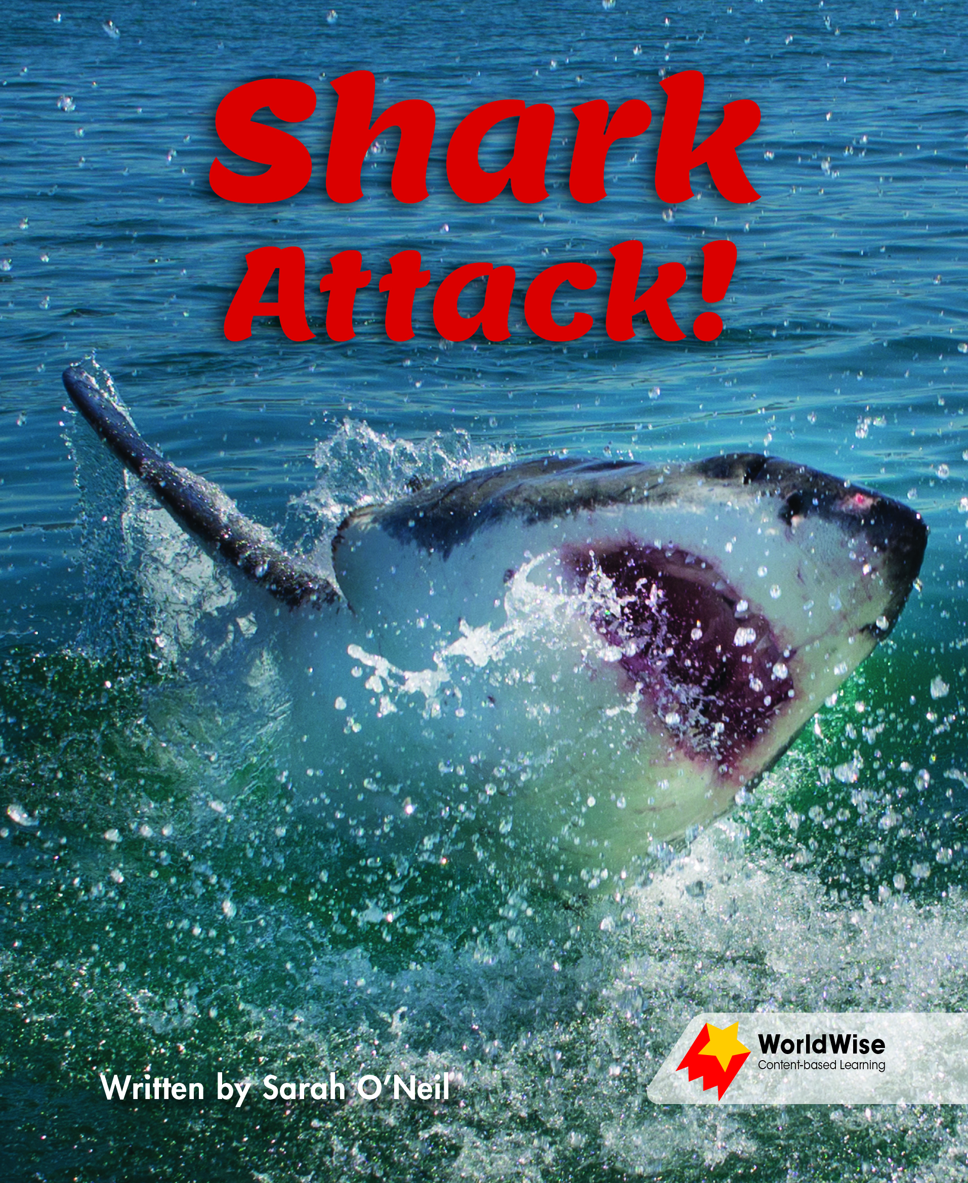 Shark Attack! Shark Attack!